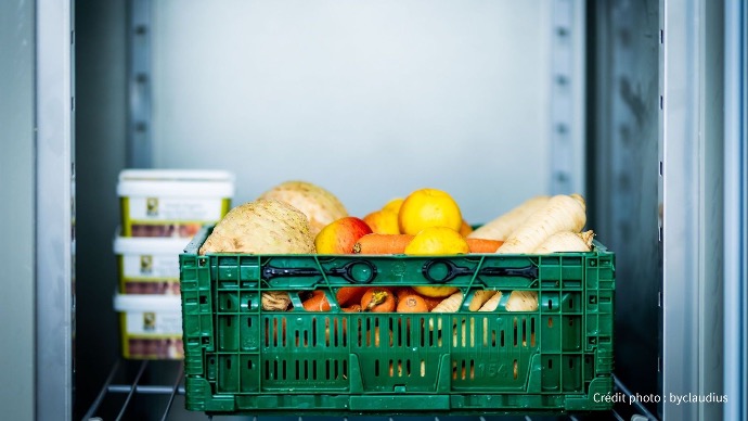Cookingo : des fruits et légumes de qualité, directement chez vous Un casier en plastique vert rempli de légumes racines (panais, carottes, céleri-rave) et de fruits (pommes, citrons) est placé sur une étagère à l'intérieur d'un réfrigérateur, pour les box repas Cookingo.